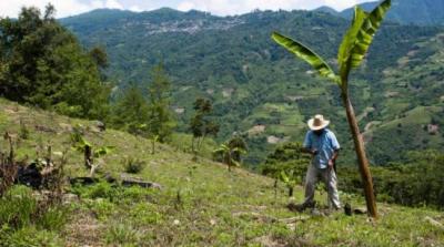 image linking to Community Networks and Local Access Monthly Newsletter - Number 1