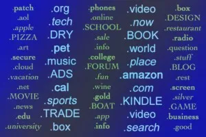  image linking to The internet domain name system and the right to culture 